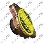 درب رادیاتورایسوزو